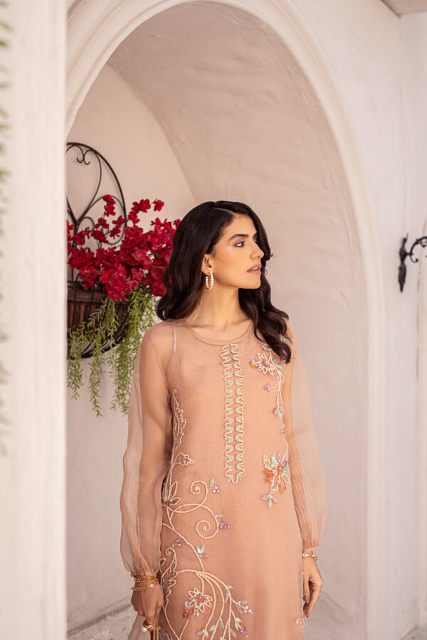 Aneeka Ruknuddin Online Store – Aneeka Ruknuddin US